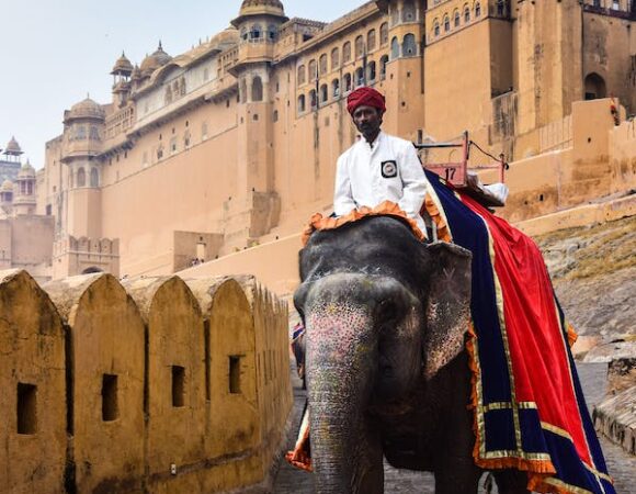 Explore the Majestic Forts of Rajasthan with Triponam