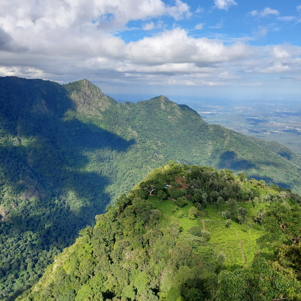 Best of Coonoor - Dolphin's Nose