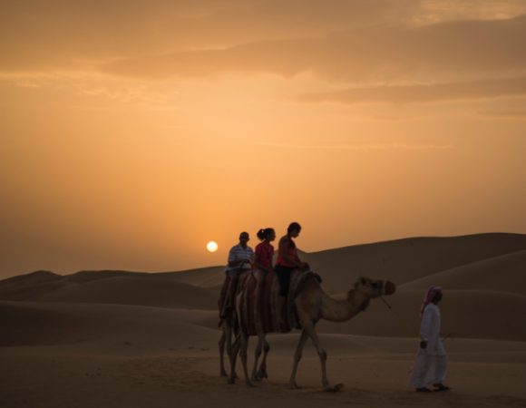 Enjoy Desert Safari with Triponam - Join our Dubai Group Trip