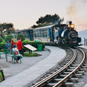 Discover the allure of Darjeeling with our comprehensive guide of top experiences. Triponam unveils the essence of this Himalayan paradise!