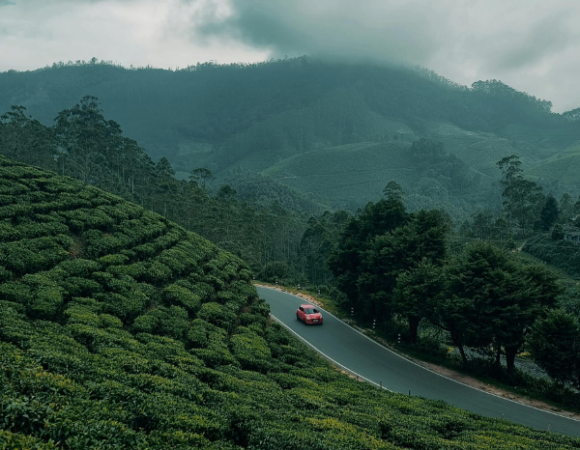 Munnar - Explore the lush Tea Gardens in our Kerala Group Trip!